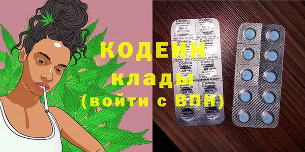 хмурый Осинники
