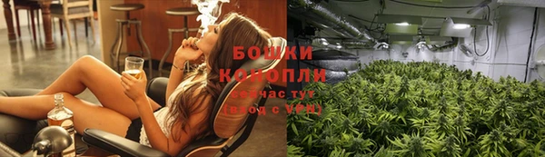 хмурый Осинники