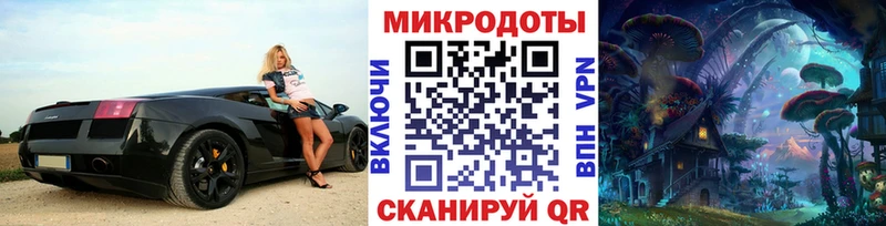 Псилоцибиновые грибы Psilocybine cubensis  Константиновск 